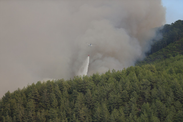 Alanya'da orman yangını! Alevler geniş alana yayıldı, havadan ve karadan müdahale ediliyor - Resim: 0