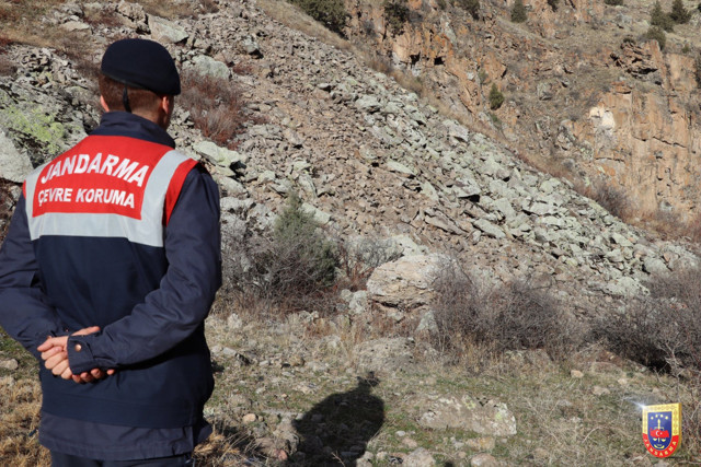 Jandarma paylaştı! Burada bir 'vaşak' var! Görebildiniz mi? - Resim: 0