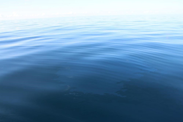 Karadeniz'de petrol rüyası gerçek oldu! 'Günde 1 ton denizin yüzeyine çıkıyor' - Resim: 1