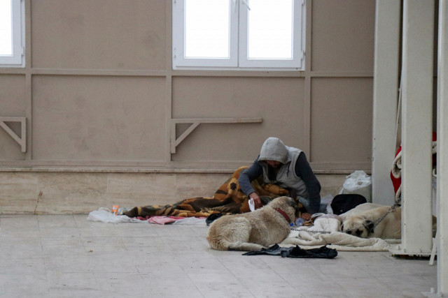 Köpekleriyle şadırvanı mesken tuttu, cami cemaati abdest alamaz oldu - Resim: 0