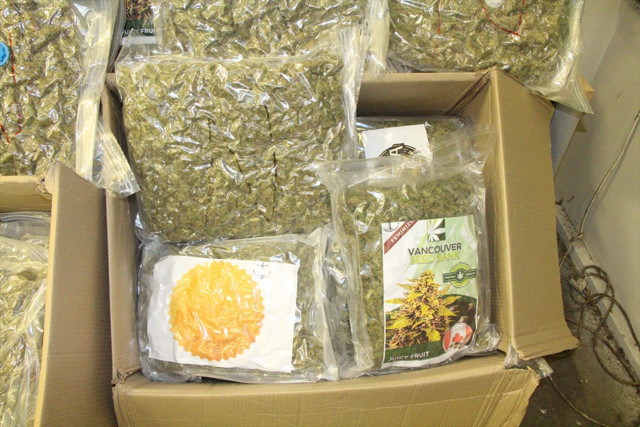 Kapıkule'de bir tırda 370 kilogram esrar ele geçirildi - Resim: 1