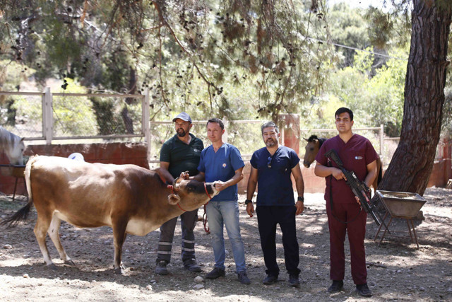 Antalya'da "kurban yakalama timi" göreve hazır - Resim: 0