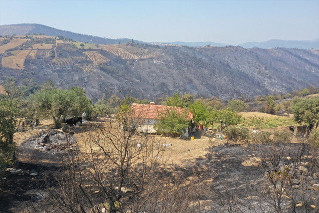 Yaşlı kadın kuru otları temizleyerek evini orman yangınından kurtardı - Resim: 3