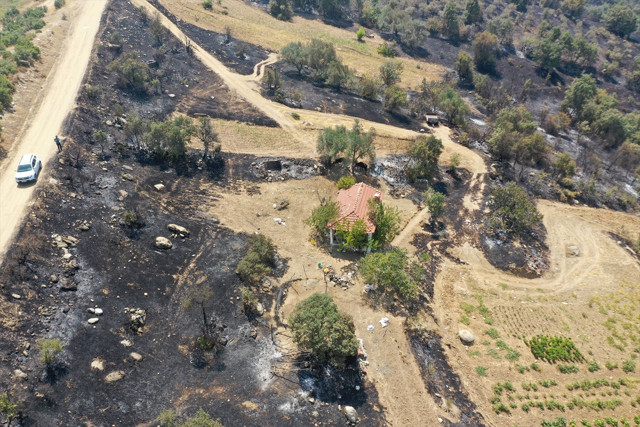 Yaşlı kadın kuru otları temizleyerek evini orman yangınından kurtardı - Resim: 0