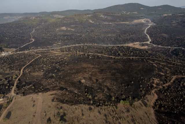 Kızılcahamam'da başlayıp Gerede'ye sıçrayan yangın kontrol altına alındı - Resim: 2