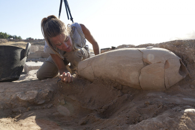 Büyükşehir ortaklığındaki Karkamış Arkeoparkı'ndaki Geç Hitit Saray alanı koruyucu çatısı açıldı - Resim: 0