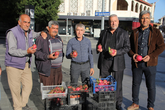 Antalya'da bir vatandaş Trump'ın ABD başkanı seçilmesini böyle kutladı... - Resim: 1