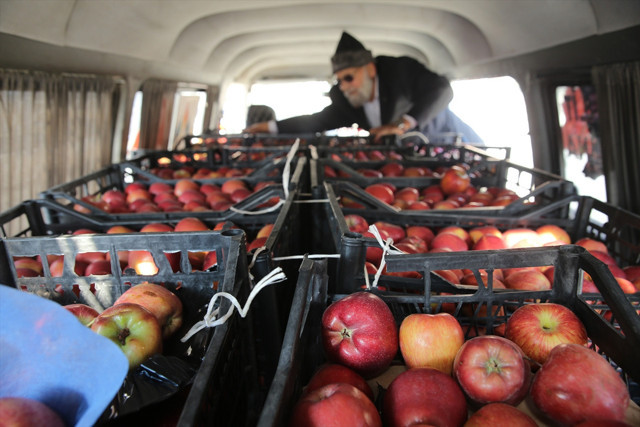 Denizlili "Elmacı Dede" yetiştirdiği elmaları Hakkari'deki askerler için getirdi - Resim: 0