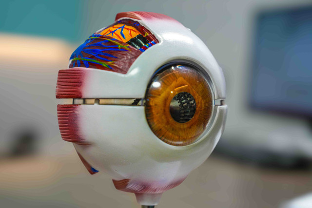 Hafife almayın! Görme bozukluğunun altında bu hastalık olabilir - Resim: 2