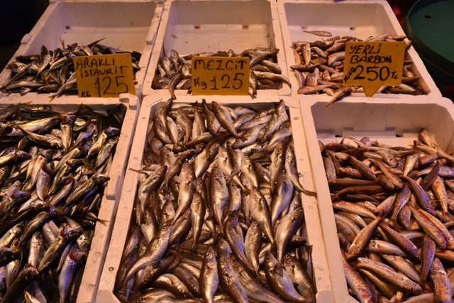 Trabzon'da balık fiyatları: Hamsinin kilogramı 150 ile 200 lira arasında satışa sunuluyor - Resim: 2