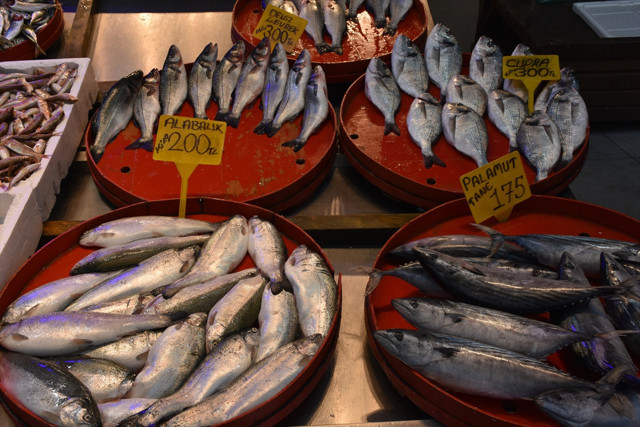 Trabzon'da balık fiyatları: Hamsinin kilogramı 150 ile 200 lira arasında satışa sunuluyor - Resim: 1
