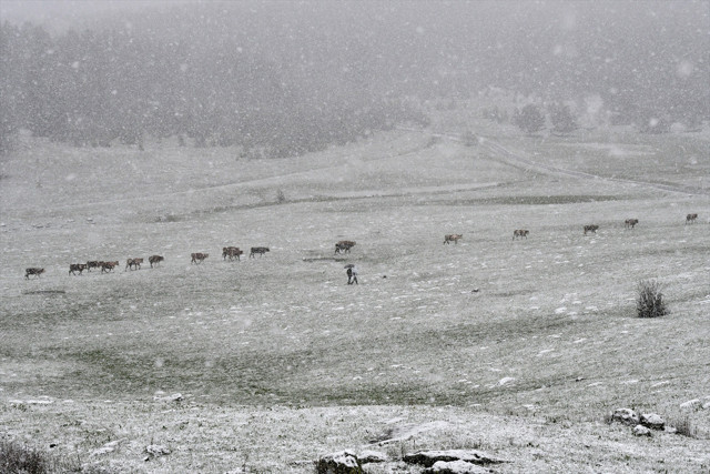 Kars'ın Sarıkamış ilçesi ve yüksek rakımlı geçitler kar yağışıyla beyaza büründü - Resim: 0