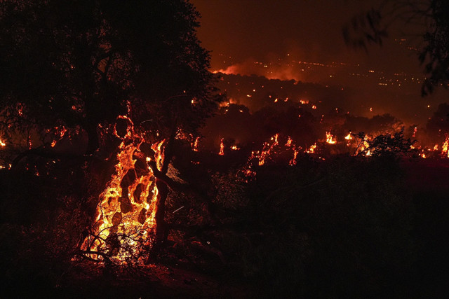 Yangında evlerini kaybettiler! Ödemişli vatandaşlar yaşadıklarını anlattı - Resim: 2