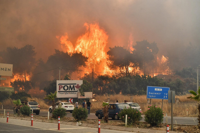 GDZ elektrik kimin Gediz elektriğin sahibi Ceyhan Saldanlı kimdir daha önce de olay oldu - Resim: 0