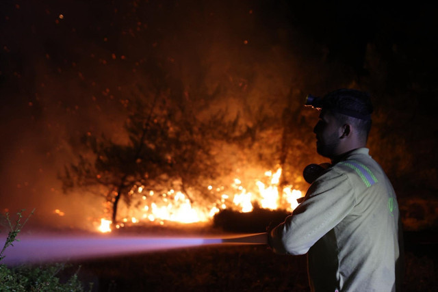Bursa'daki orman yangınında son durum! Bakan Uraloğlu'ndan açıklama - Resim: 1