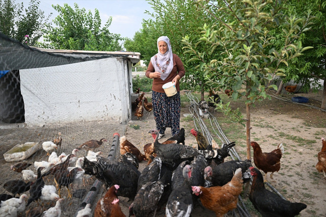 Osimhen'in dönüşü Kayserili Neslihan teyzeyi çok sevindirdi - Resim: 0