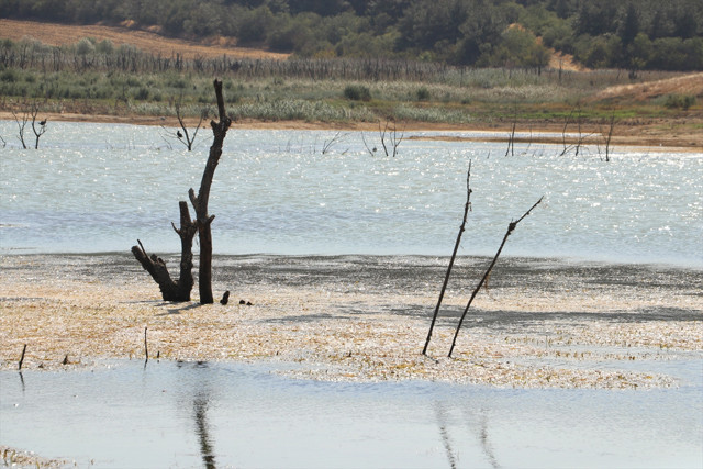 Kriz kapıda! Çeşme'den sonra şimdi de Terkidağ'da durum fena - Resim: 0