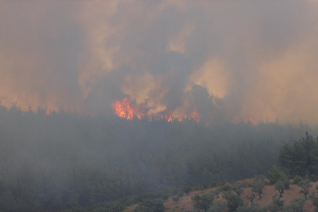 Bursa'da yangın çıktı! Dumandan göz gözü görmüyor - Resim: 0