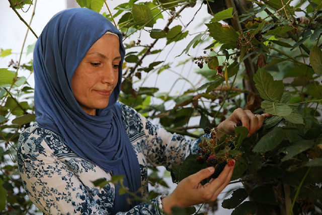 Doğal sirkeyi sağlıklı yaşam için üretmişti ama artık ihraç ediyor... - Resim: 2