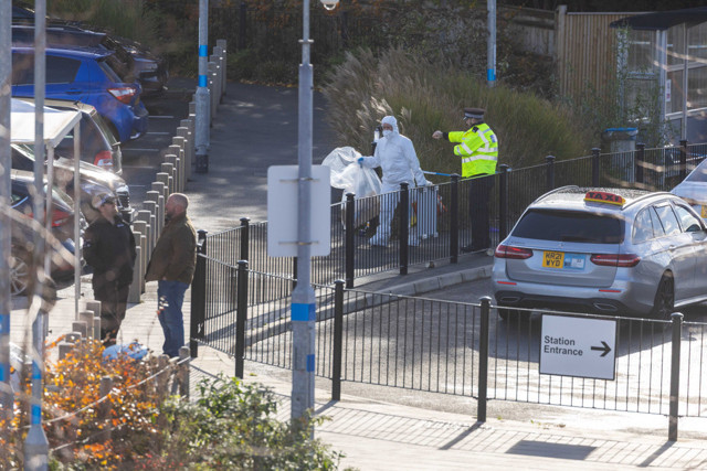 Trende 10 kişi bıçaklandı! Korkunç saldırıda yeni detaylar - Resim: 0