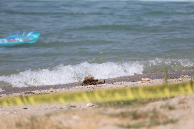 &Ccedil;anakkale'de plajda m&uuml;himmat bulundu - Resim: 0