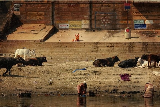 Buraya ölmek için geliyorlar! Sokaklar ceset içinde - Resim: 4