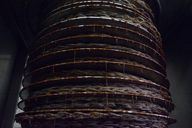 Türkiye'de üretilip dünyaya satılıyor bu sütün kilosu 30 lira! - Resim: 1