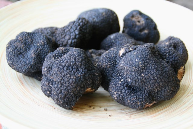 Orman Bakanlığı çalışma başlattı! Kilosu tam 3 bin TL - Resim: 2