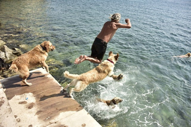 13 köpeği 'evlat edindi' - Resim: 3