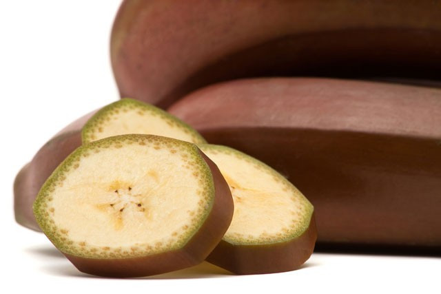 Her sabah yeyip kilo verdiler! - Resim: 4