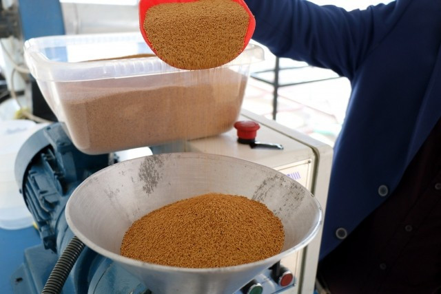 Çiftçinin yeni umudu incir çekirdeği - Resim: 1