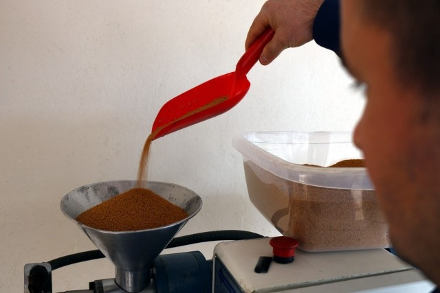 Çiftçinin yeni umudu incir çekirdeği - Resim: 4