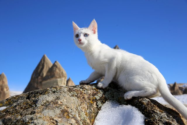 Karlarla kaplanan Peri Bacaları  büyüledi - Resim: 3
