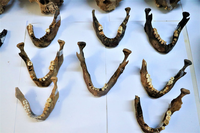 Daha önce benzerine rastlanmadı! Antalya'da bulundu - Resim: 4