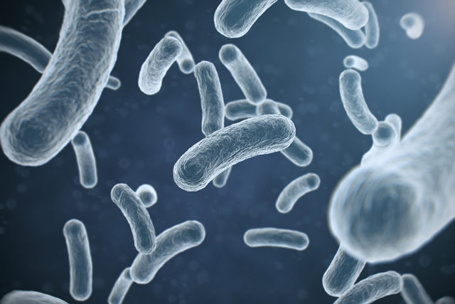 OECD korkutan rakamı açıkladı! En riskli ülke Türkiye - Resim: 3