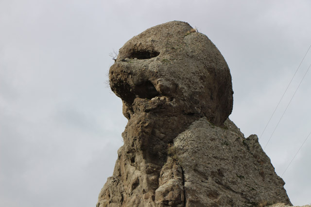 Bir yanı insan kafası diğer yanı ise canavar! Görenler şoke oldu - Resim: 1