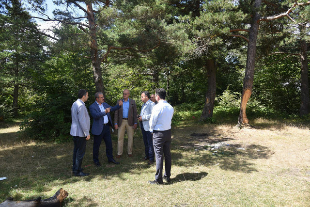 Çıra için gövdesi oyulan ağaçlarla ilgili açıklama - Resim: 2