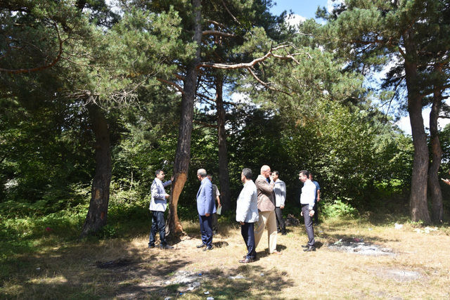 Çıra için gövdesi oyulan ağaçlarla ilgili açıklama - Resim: 3