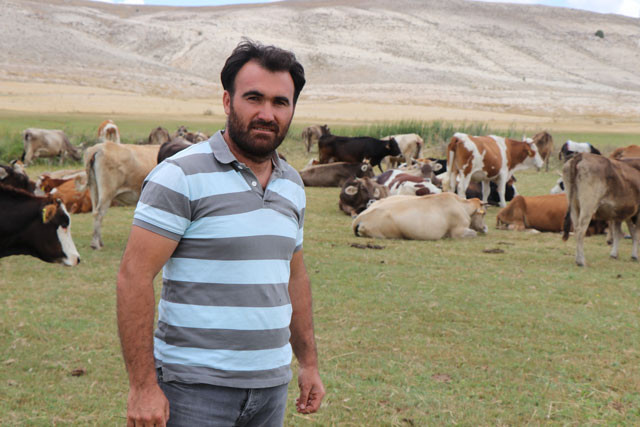 Şarbon bu kez o ile sıçradı! İki mahalle karantina altında - Resim: 2