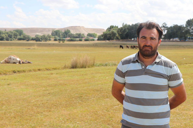 Şarbon bu kez o ile sıçradı! İki mahalle karantina altında - Resim: 3