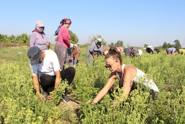 17 yıllık mesleğini bıraktı ihracatçı oldu - Resim: 2