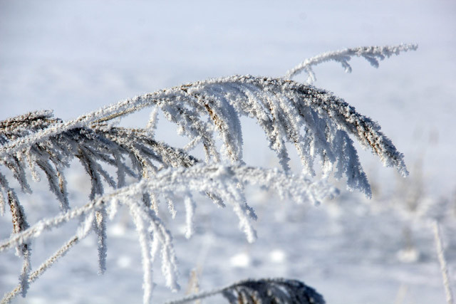 Türkiye'nin en soğuk ilçesi! Eksi 30 dereceye kadar düştü - Resim: 1