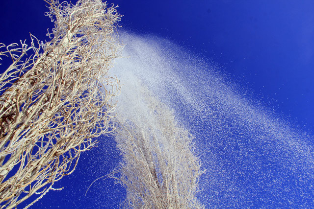 Türkiye'nin en soğuk ilçesi! Eksi 30 dereceye kadar düştü - Resim: 2