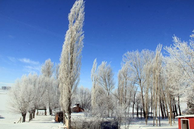 Türkiye'nin en soğuk ilçesi! Eksi 30 dereceye kadar düştü - Resim: 3
