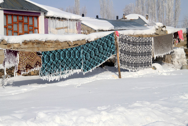 -40 derecede elbiseler dondu ağaçlar buz tuttu - Resim: 3