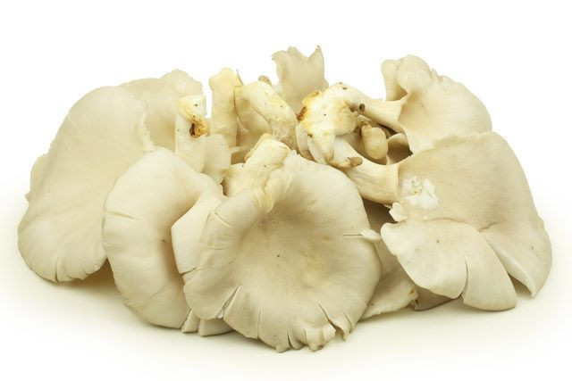 Hem lezzetli hem ekonomik Kırmızı ete rakip olan istiridye mantarı faydalarıyla şaşırtıyor - Resim: 2