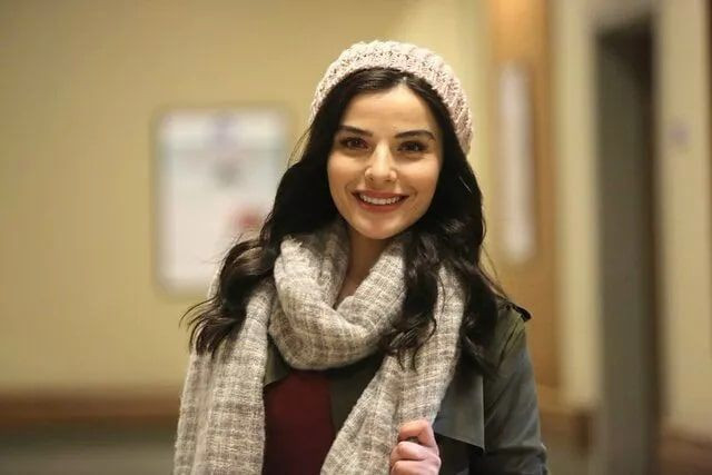 Sevtap Özaltun Hekimoğlu'nda bakın hangi rolde oynayacak kadroya girdi - Resim: 4