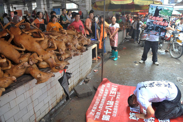Çin'de koronavirüsün ortaya çıktığı hayvan pazarları yeniden açıldı - Resim: 0