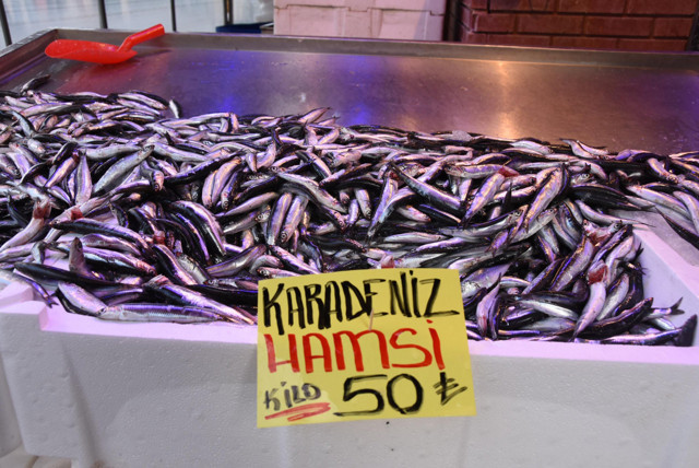 Hamsinin kilosu kırmızı eti geçti! Eskişehir'de fiyatı gören tezgahtan geri döndü - Resim: 0