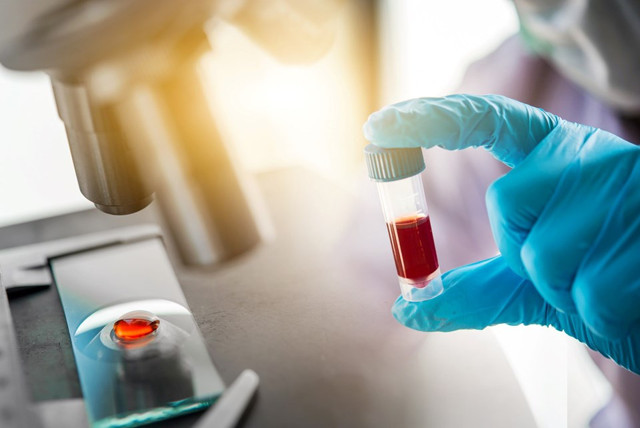 T hücresi bağışıklığı tüm mutasyonlara karşı koruma sağladı - Resim: 0